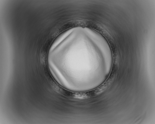 X0000113040185200909171528