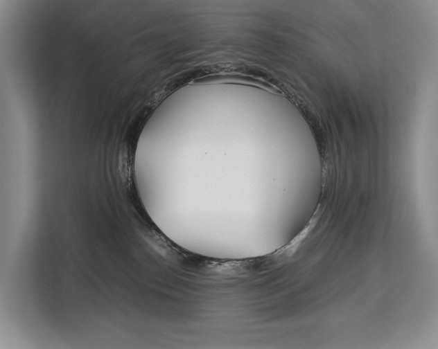 X0000113040186200909171528