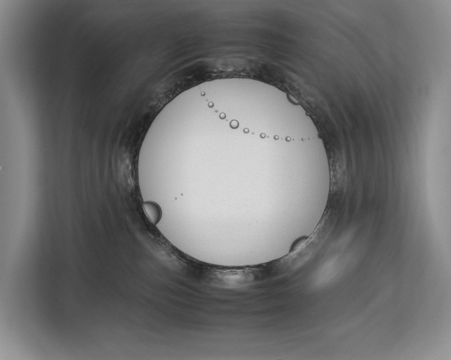 X0000113040187200909171528