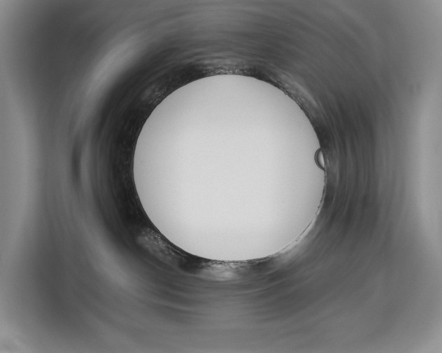 X0000113040190200909171528