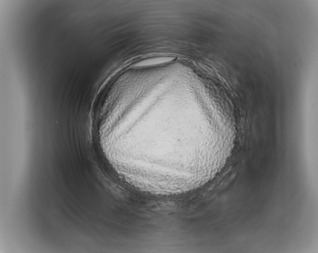 X0000113040194200909171528