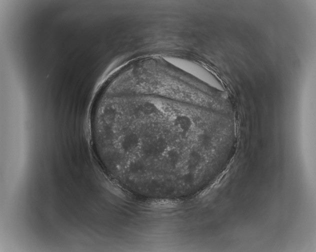 X0000113040198200909171528