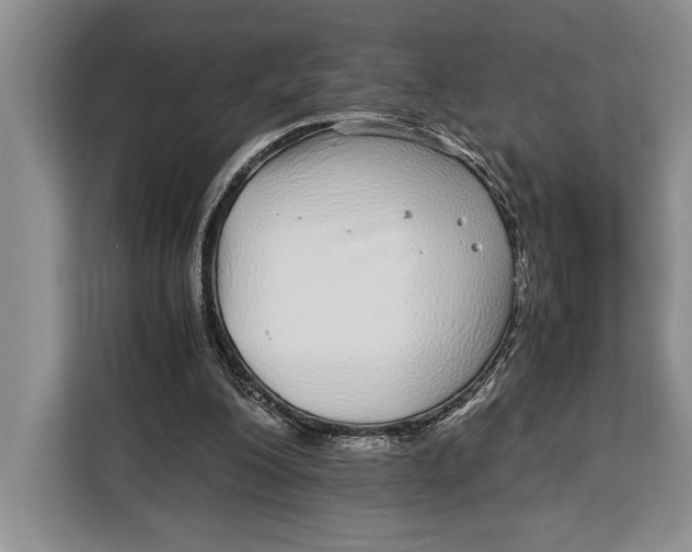 X0000113040200200909171528