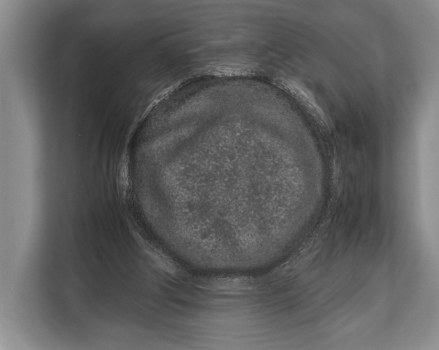 X0000113040202200909171528