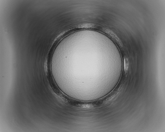 X0000113040204200909171528
