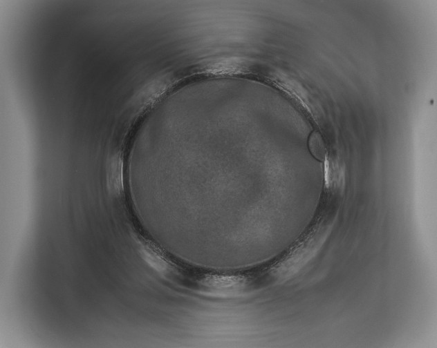 X0000113040205200909171528