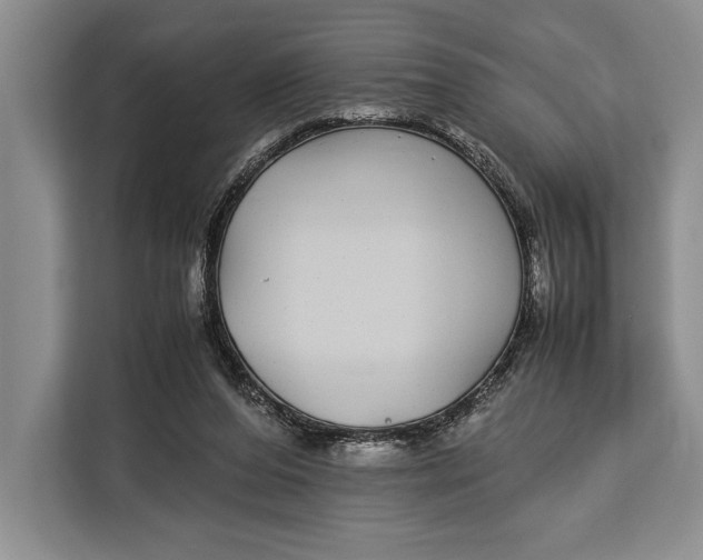 X0000113040208200909171527