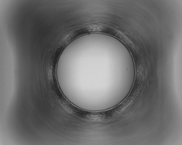 X0000113040209200909171527