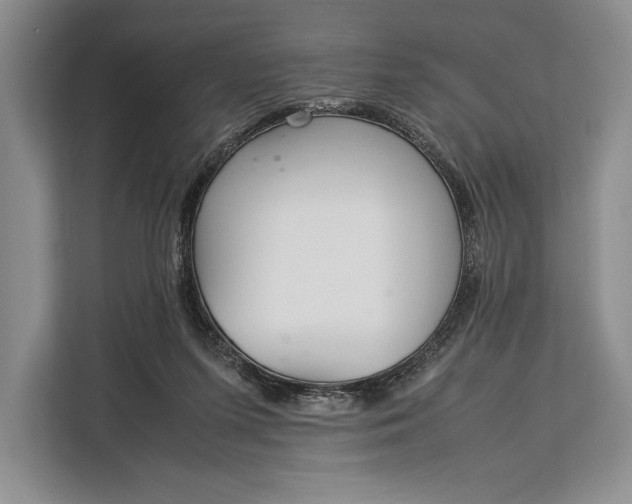 X0000113040215200909171527