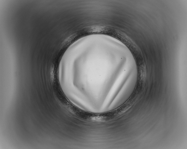 X0000113040216200909171527