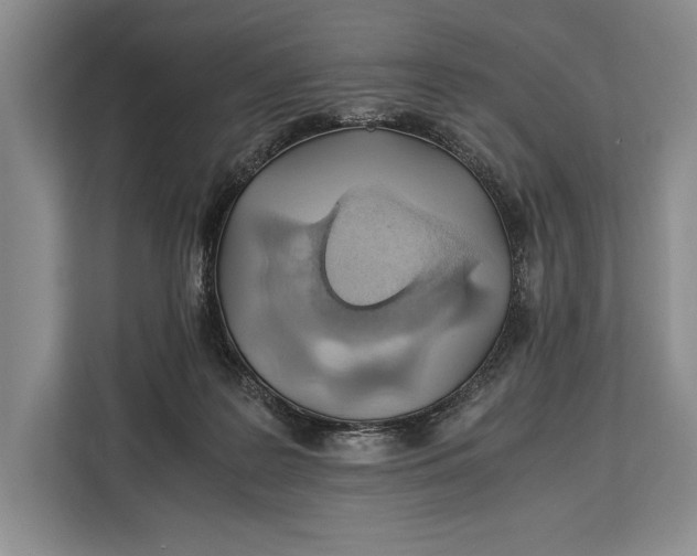 X0000113040219200909171527