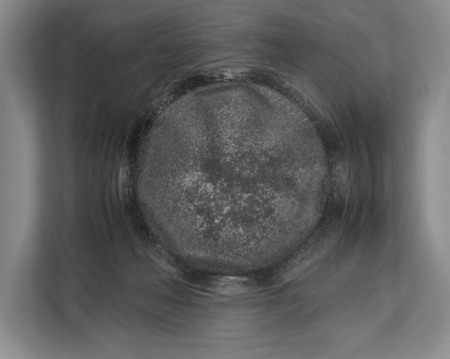 X0000113040222200909171527