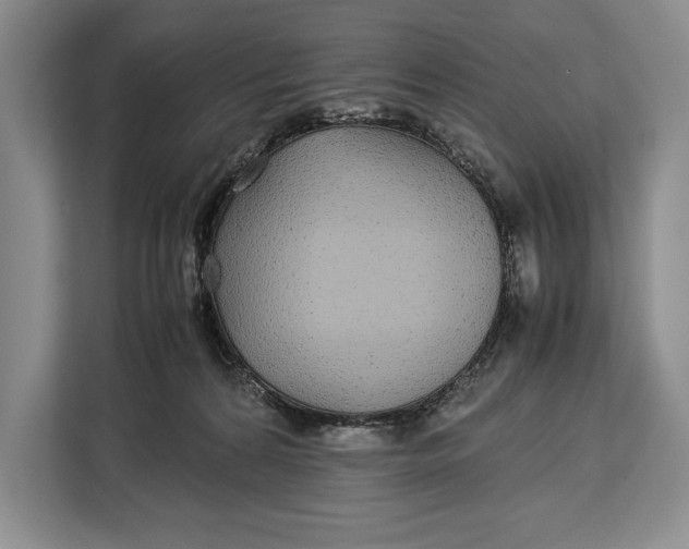 X0000113040224200909171527