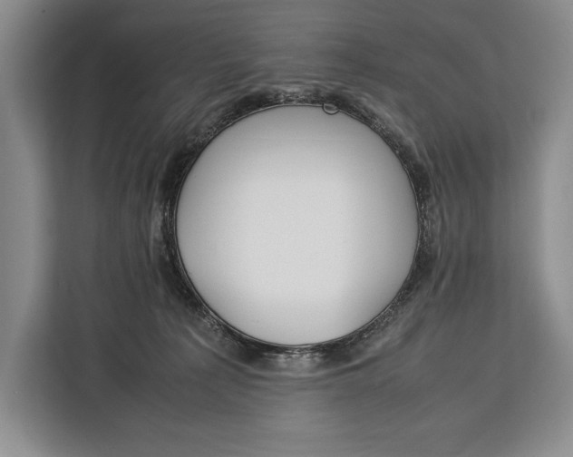 X0000113040225200909171527