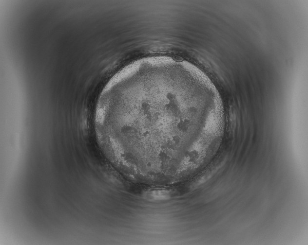 X0000113040228200909171527