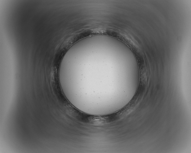X0000113040229200909171527