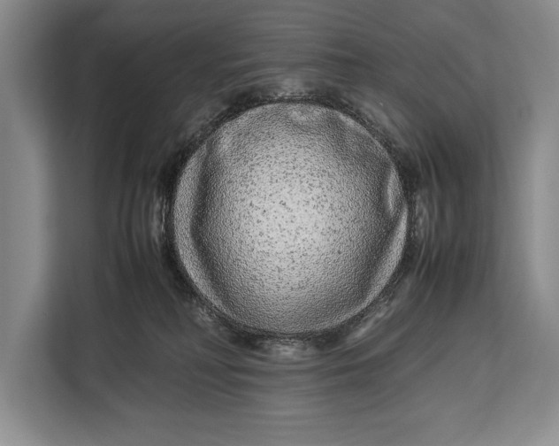 X0000113040230200909171527