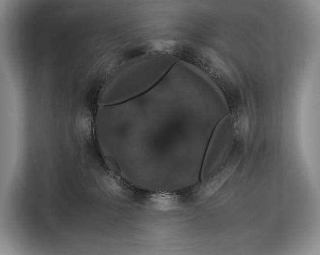 X0000113040231200909171527