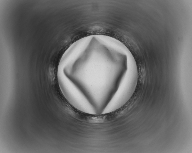 X0000113040232200909171527