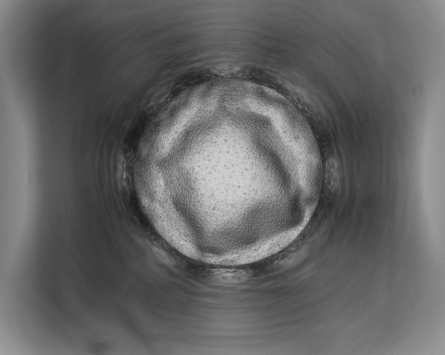 X0000113040234200909171527