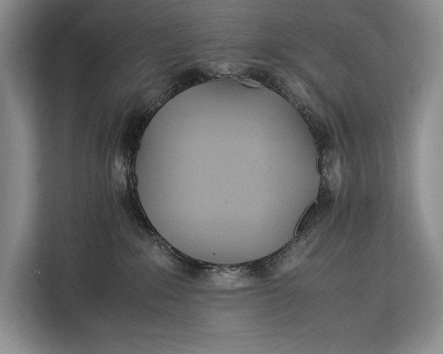X0000113040235200909171527