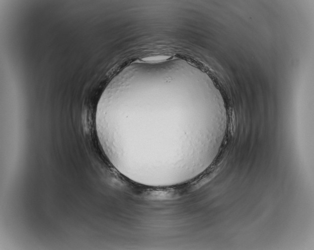 X0000113040236200909171527