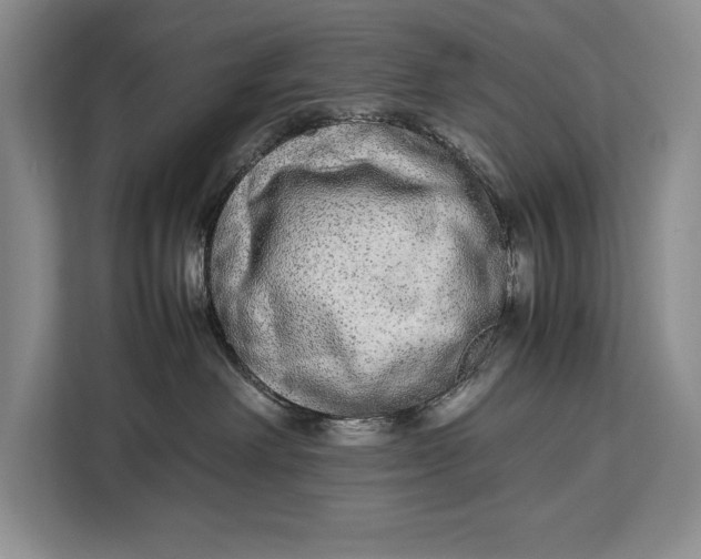 X0000113040238200909171527