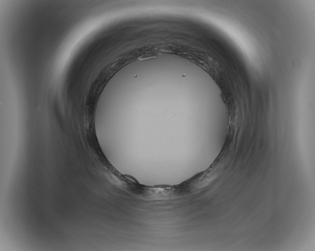 X0000113040239200909171527