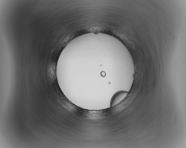 X0000113040240200909171527