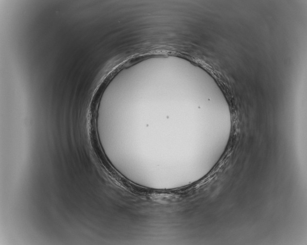 X0000113040242200909171526