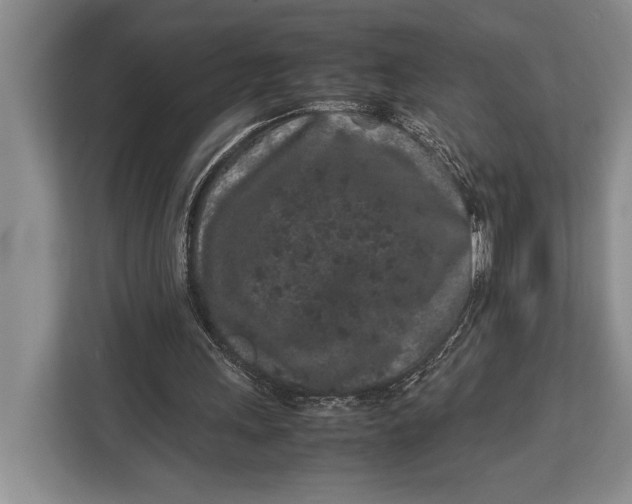 X0000113040243200909171526