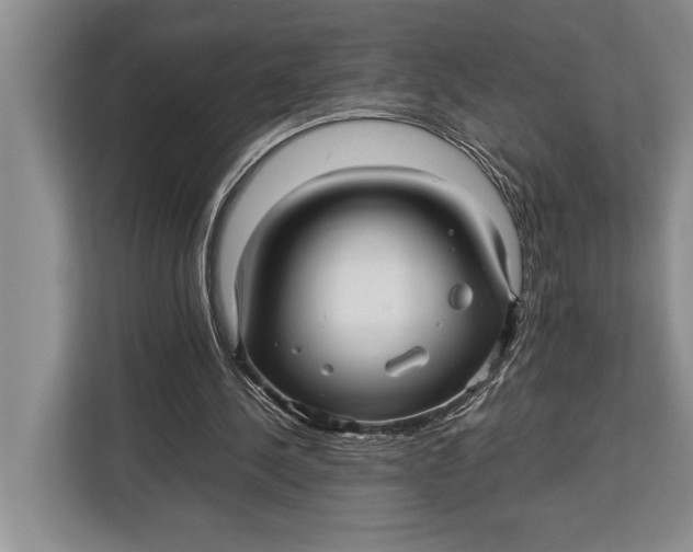 X0000113040244200909171526