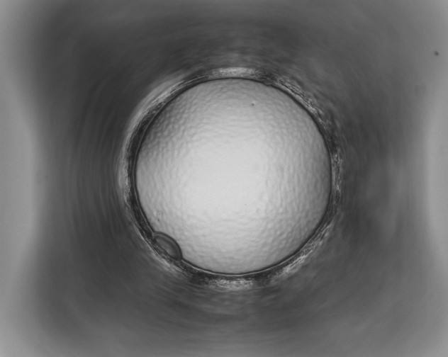 X0000113040245200909171526