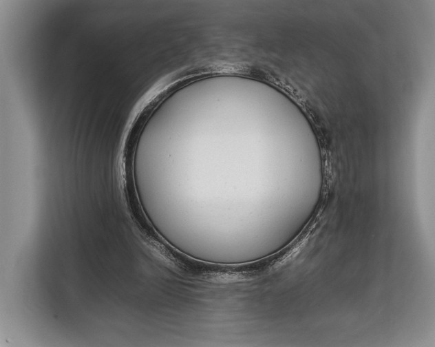 X0000113040246200909171526