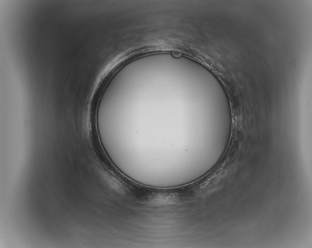 X0000113040248200909171527