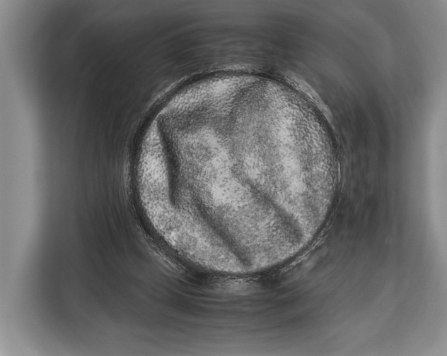 X0000113040249200909171527