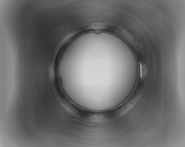 X0000113040252200909171527