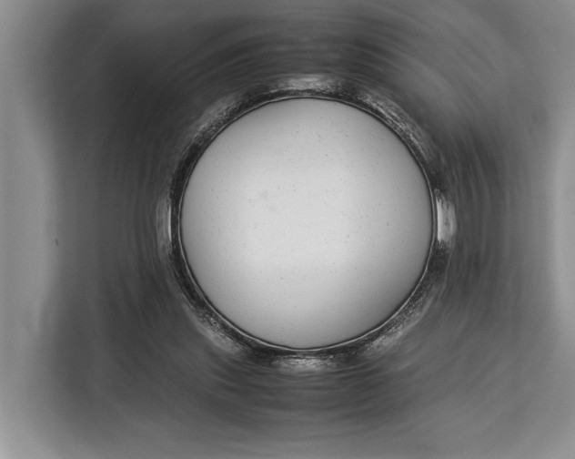 X0000113040253200909171527