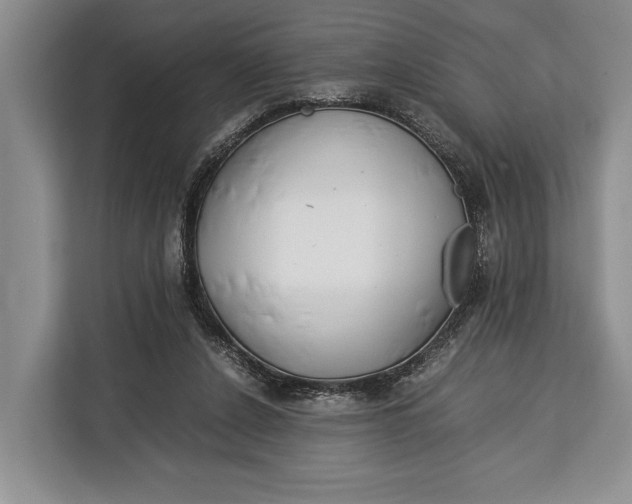 X0000113040256200909171527