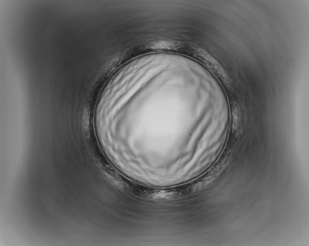 X0000113040257200909171527