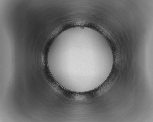X0000113040258200909171527