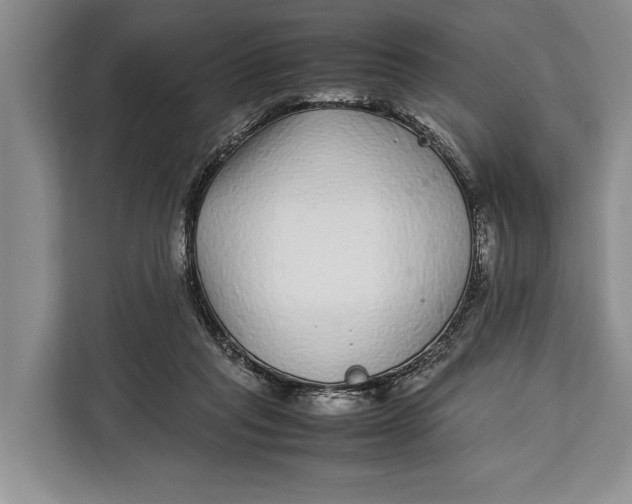X0000113040261200909171527