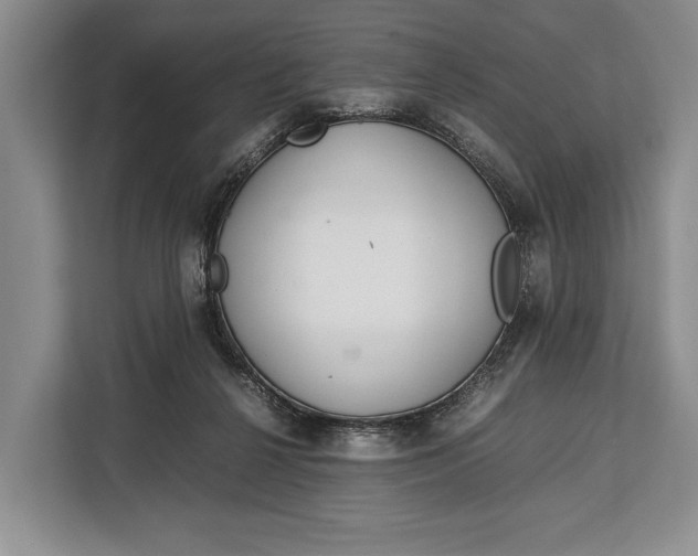 X0000113040264200909171527