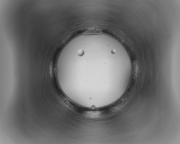 X0000113040266200909171527