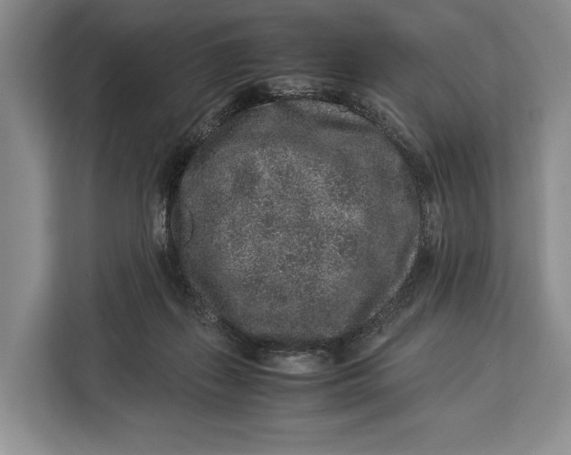 X0000113040267200909171527