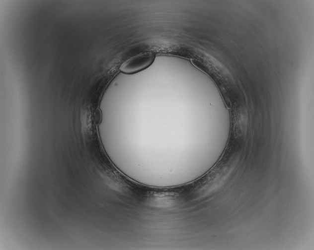 X0000113040268200909171527
