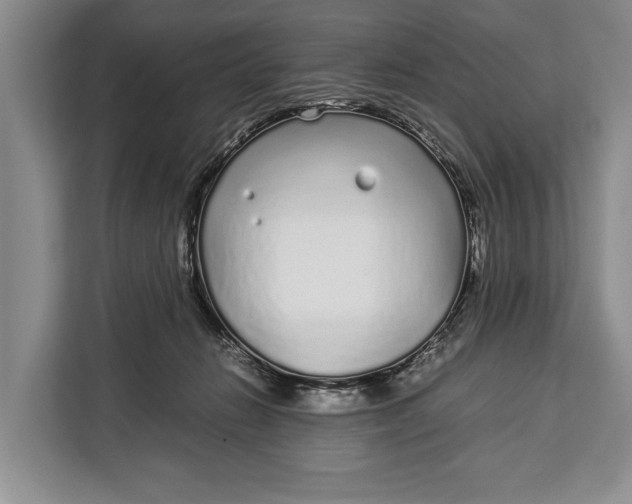 X0000113040270200909171527