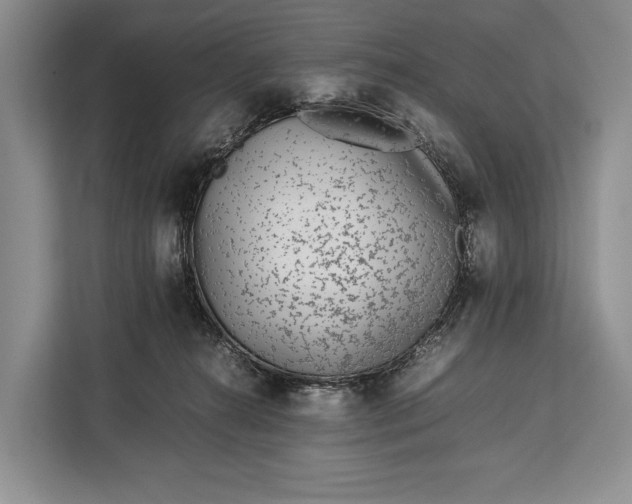 X0000113040272200909171527