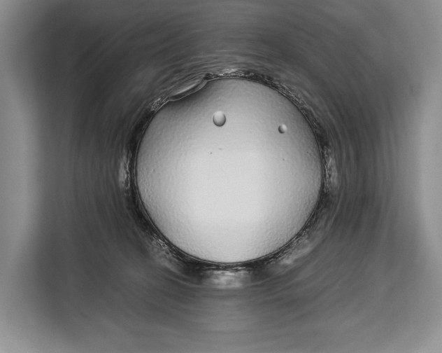 X0000113040274200909171527