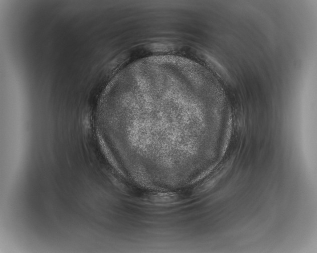 X0000113040277200909171527